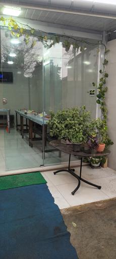 عکس کافه سپید 