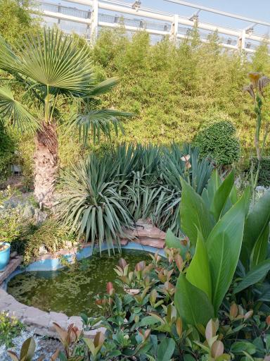 عکس کافه رستوران لول 4