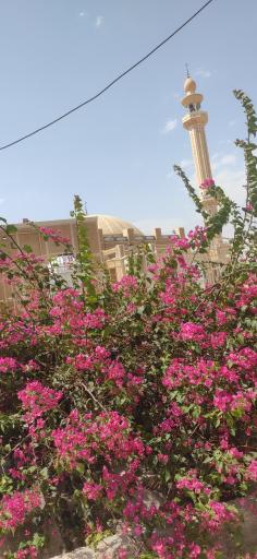 عکس مسجد سلمان فارسی