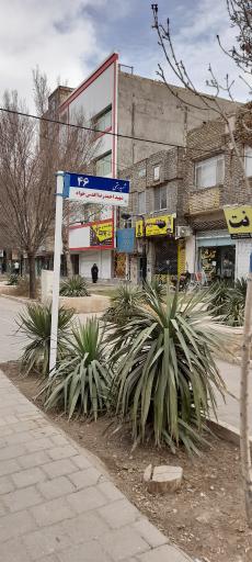عکس دفتر اسناد رسمی شماره 274 ریحانه امامی نژاد