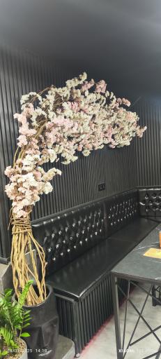 عکس کافه صبحانه کارما