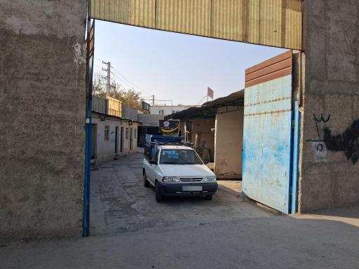 عکس قالیشویی تابان