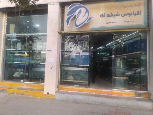 عکس اکواریوم اقیانوس شیشه ای