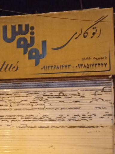 عکس اتوگالری لوتوس