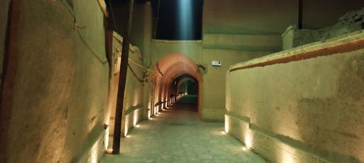 عکس بوم گردی نخل