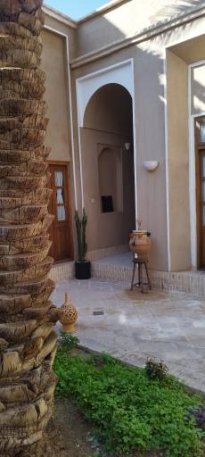 عکس بوم گردی نخل