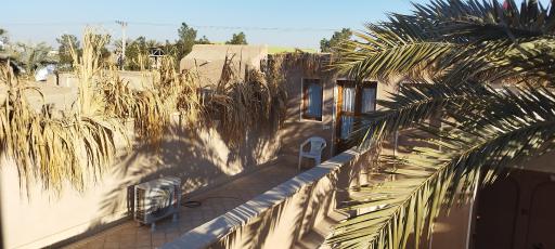 عکس بوم گردی نخل