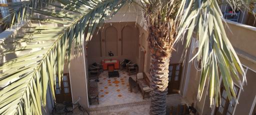 عکس بوم گردی نخل