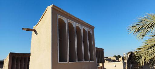 عکس بوم گردی نخل