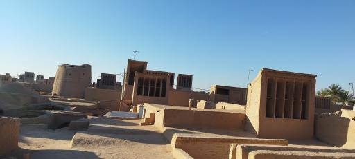 عکس بوم گردی نخل