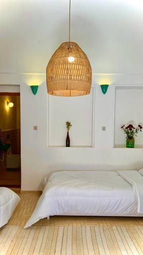 عکس بوم گردی نخل