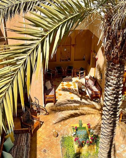 عکس بوم گردی نخل