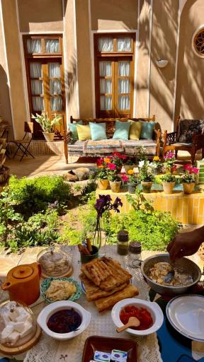 عکس بوم گردی نخل