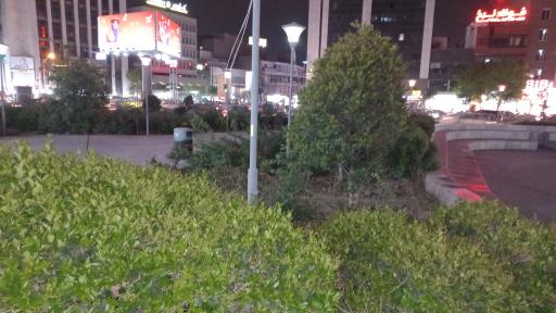 عکس بوستان پرواز