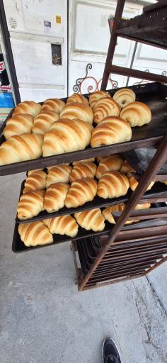 عکس نان فانتزی گل گندم