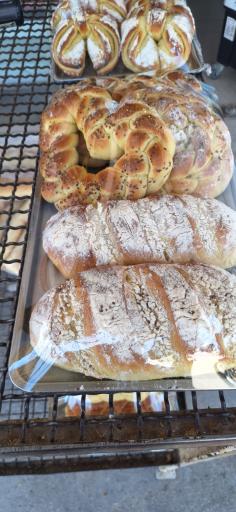 عکس نان فانتزی گل گندم