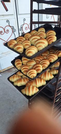 عکس نان فانتزی گل گندم