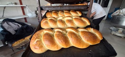 عکس نان فانتزی گل گندم