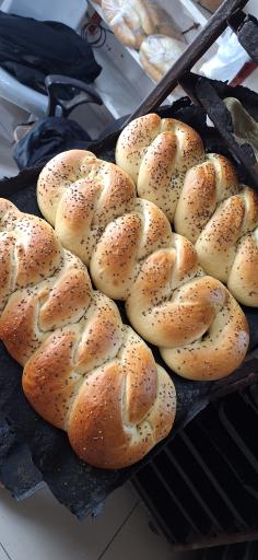 عکس نان فانتزی گل گندم