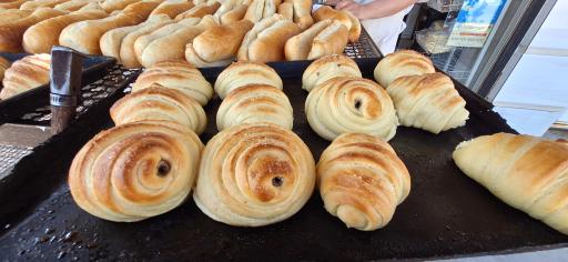 عکس نان فانتزی گل گندم