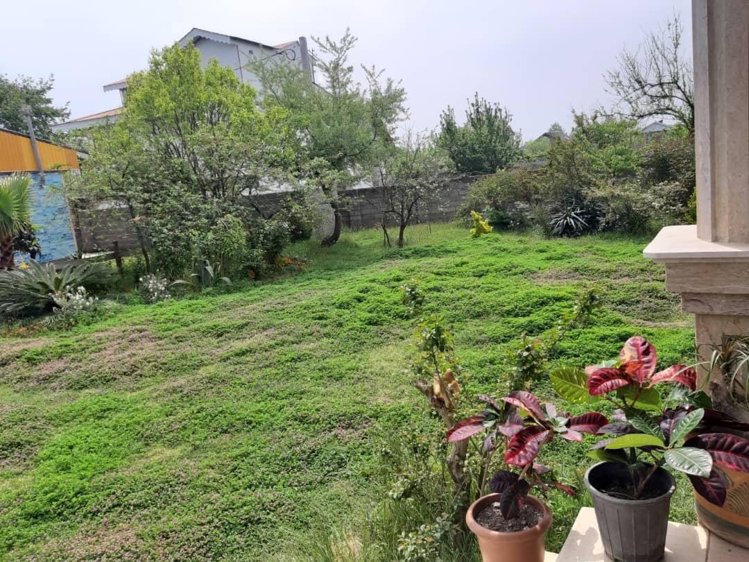 عکس سوئیت صدف