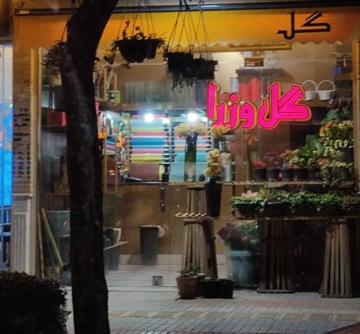 عکس گل وزرا