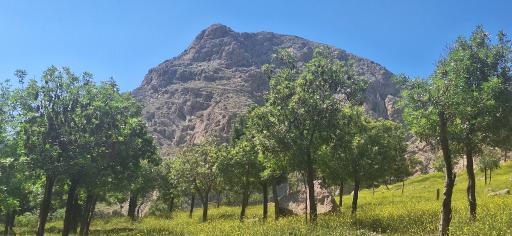 عکس بام کرمانشاه