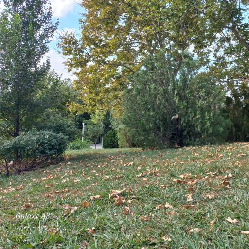 عکس پارک پرواز