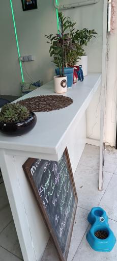 عکس کافه می‌یو