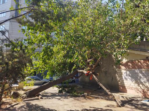 عکس پارک پرواز