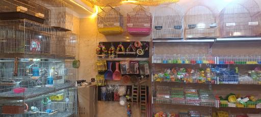 عکس پت شاپ و پرنده سرای کارون 