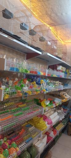 پت شاپ و پرنده سرای کارون 