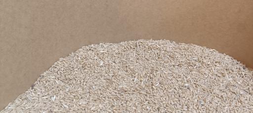 عکس پت شاپ و پرنده سرای کارون 