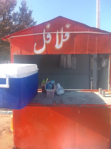 عکس فلافل دایی