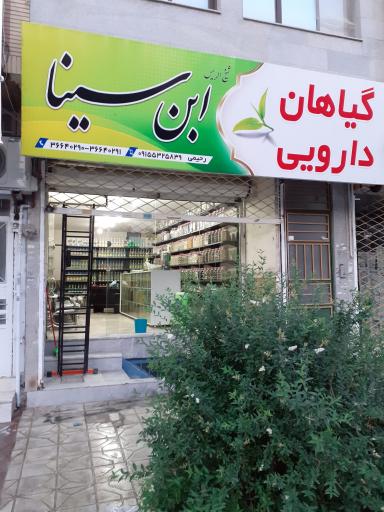 عکس گیاهان دارویی ابن سینا 