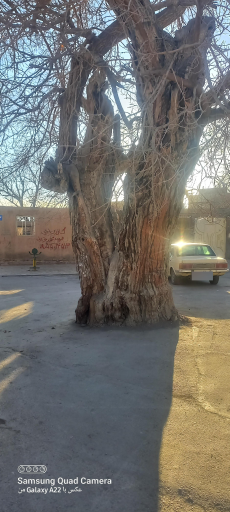 منزل آباد