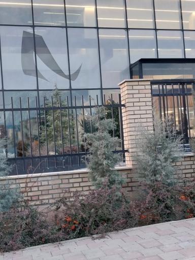 عکس آرنا حیات دانش