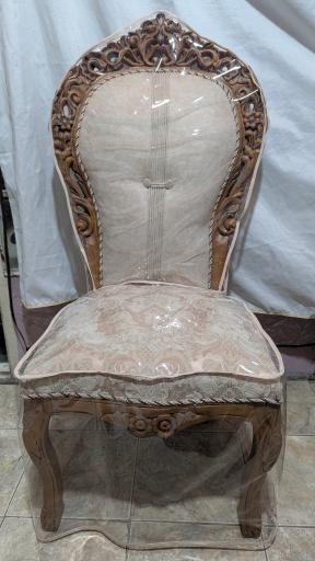 عکس کاور دوزی ونوس