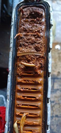 عکس رادیاتورسازی احمدی