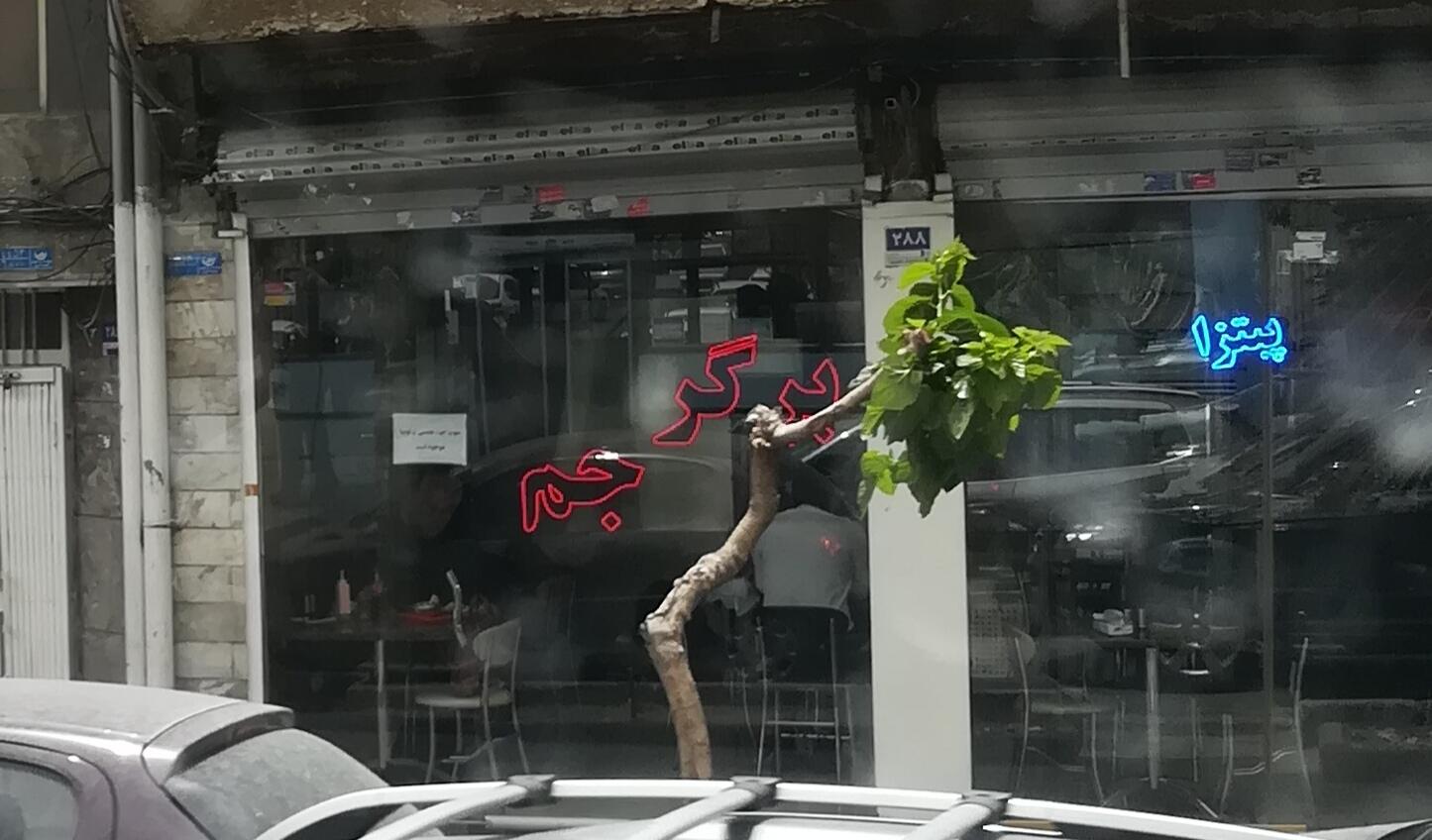 عکس پیتزا برگر جم