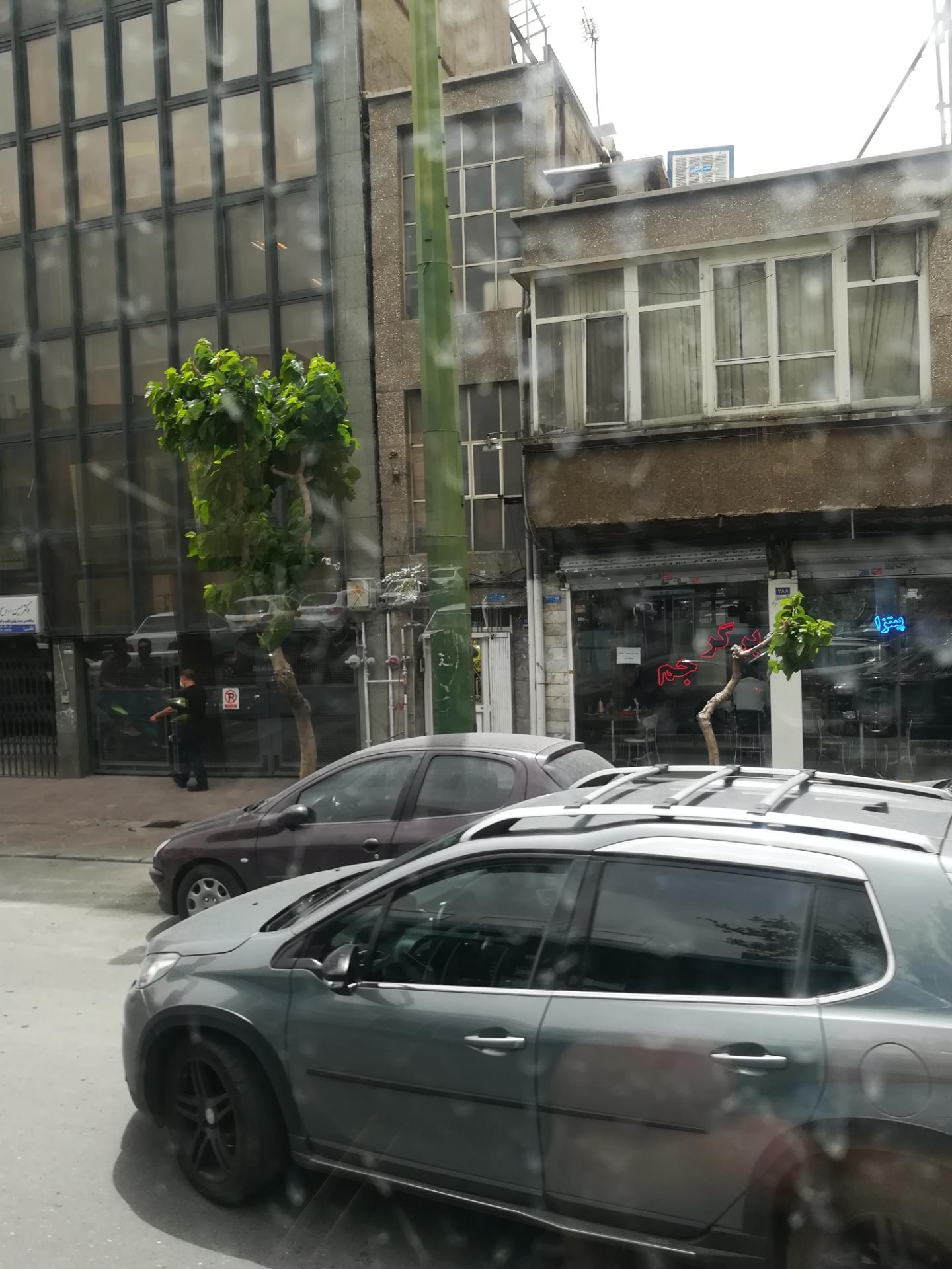 عکس پیتزا برگر جم