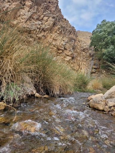 عکس سربندان