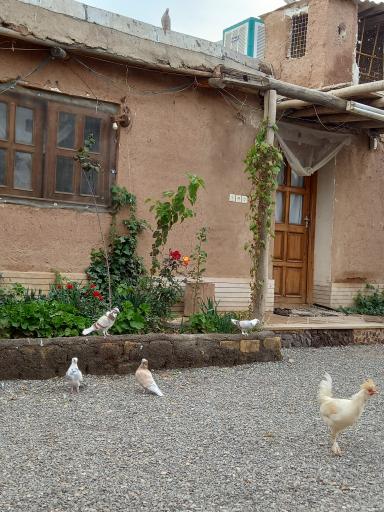 عکس اقامتگاه بومگردی عمو حسین