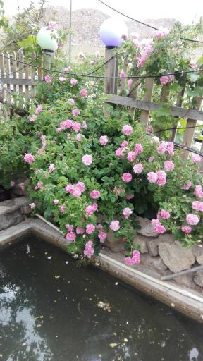 عکس اقامتگاه بومگردی عمو حسین