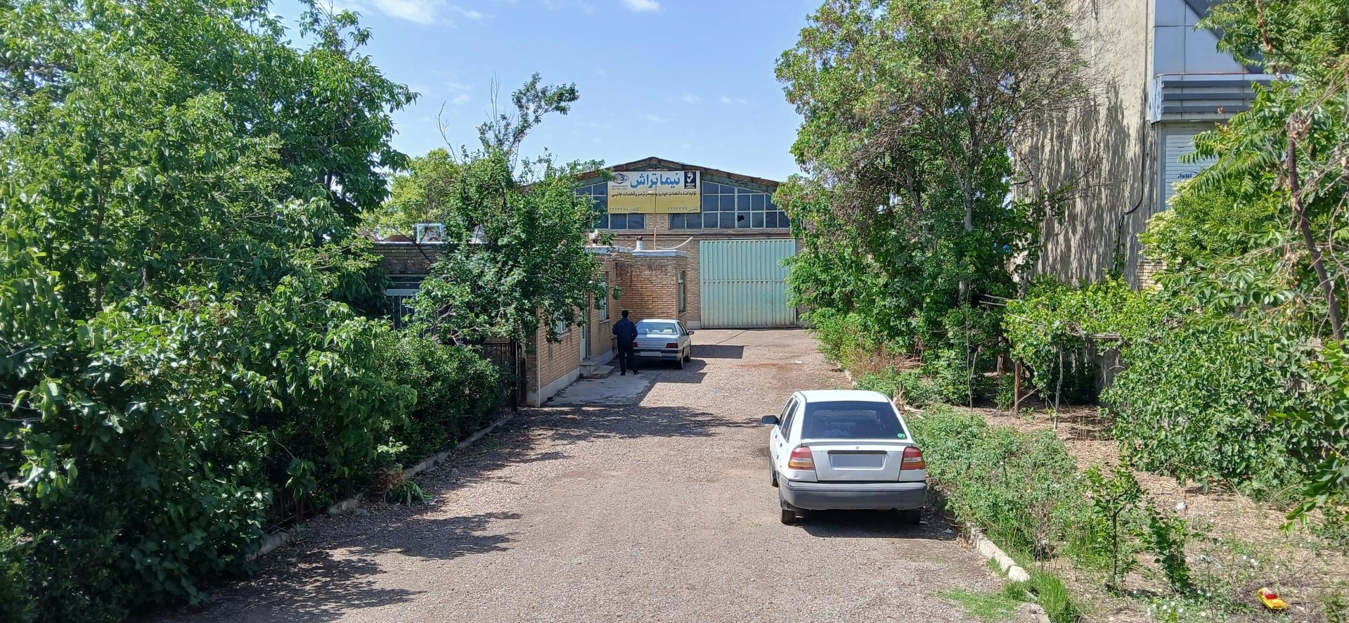 عکس نیما تراش