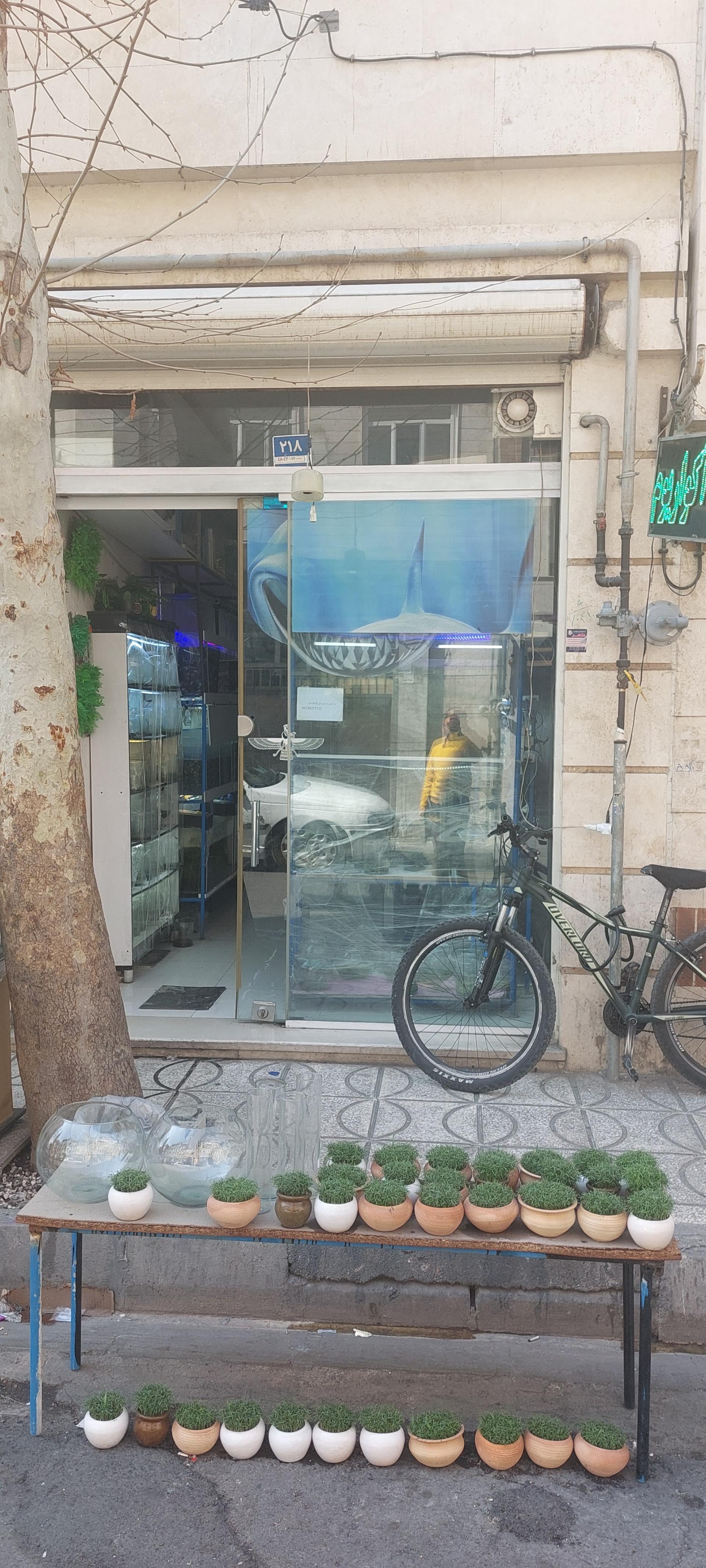 عکس آکواریم ماهور