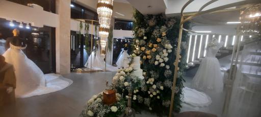 عکس مزون الین(شعبه مرکزی)