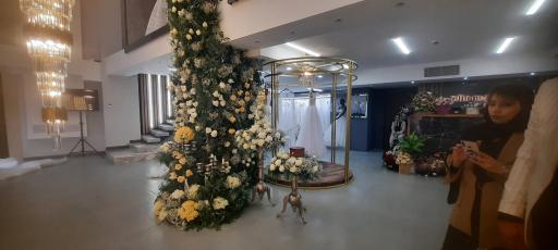 عکس مزون الین(شعبه مرکزی)