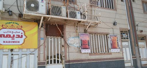 عکس پخش غلات و حبوبات ندیمه