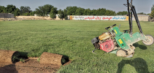 عکس چمن  رول آرش